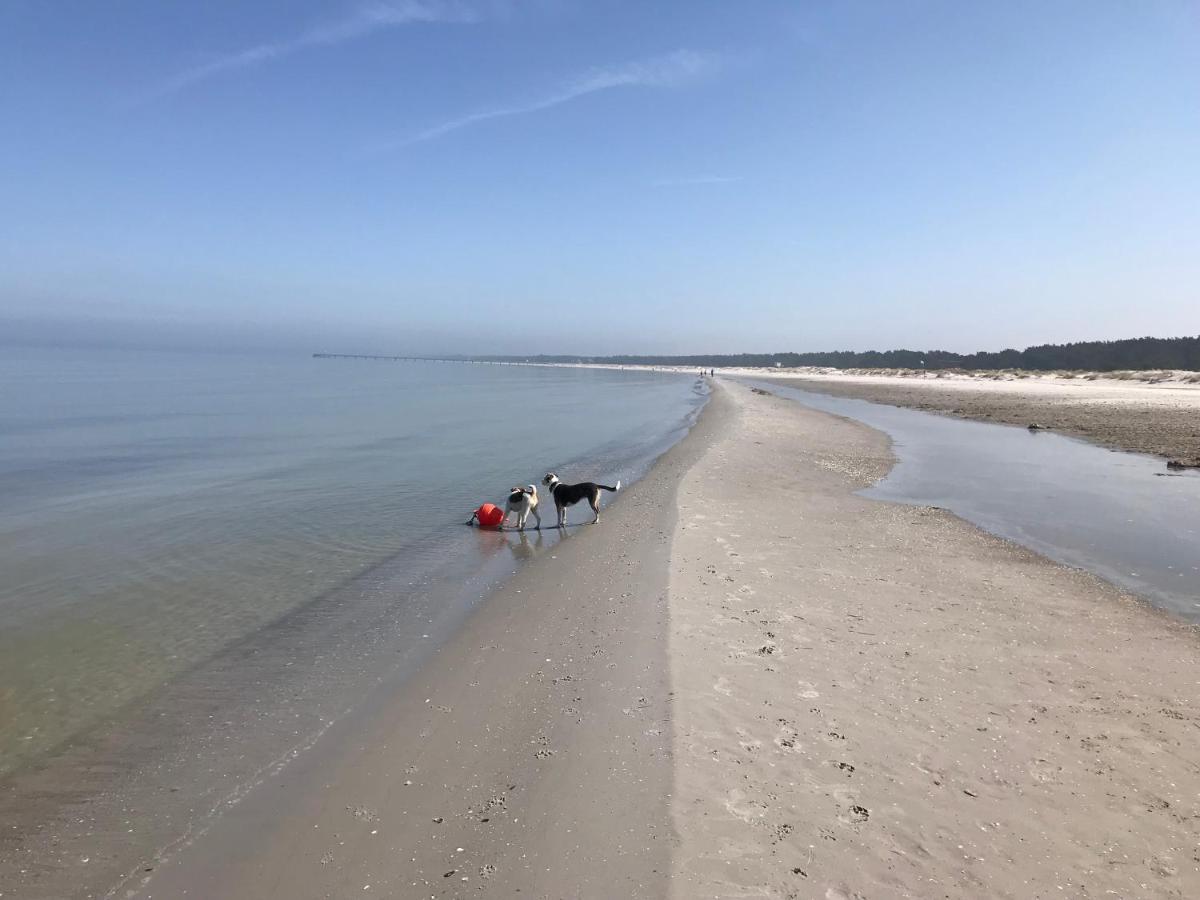 Ferienwohnung Strandperle Prerow Bagian luar foto